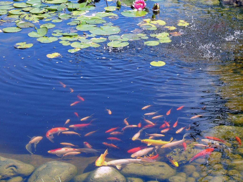 Hotel Restaurant Les Jardins D'epone 2*